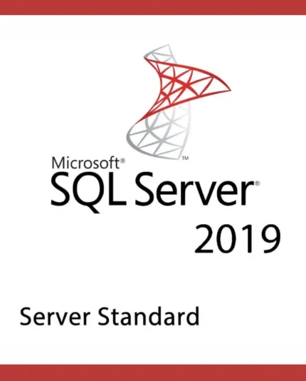 Microsoft SQL Server 2019 Standard – Activation Key (1 User, PC)